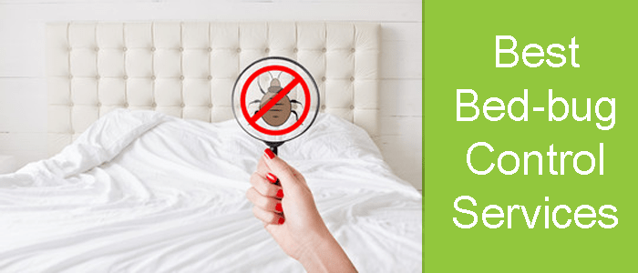 Best Bed Bug Control Service
